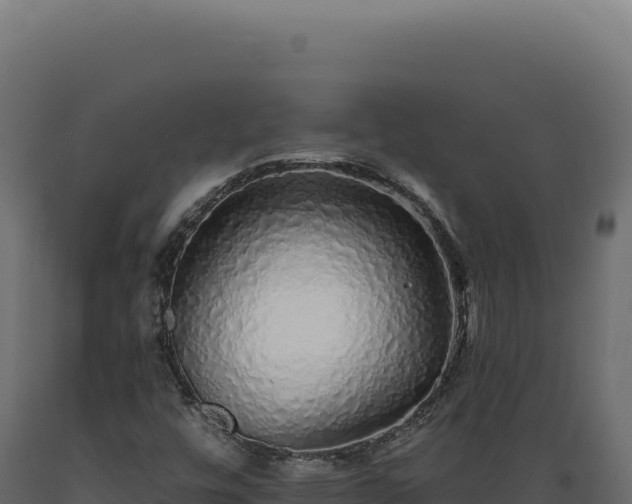 X0000089961448200707061131