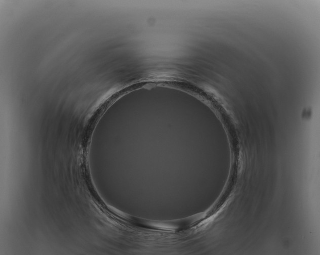 X0000089961449200707061131