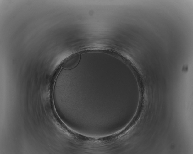 X0000089961450200707061131