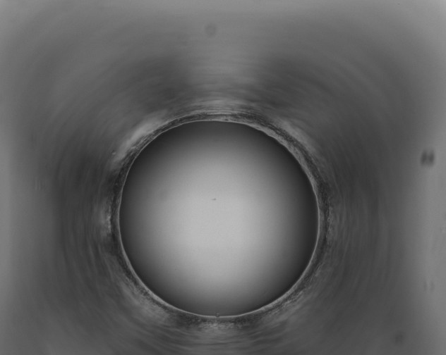 X0000089961451200707061131