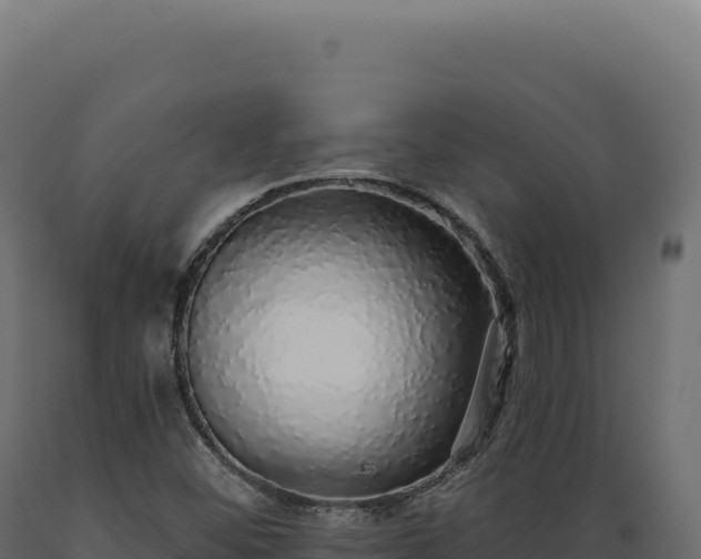 X0000089961452200707061131