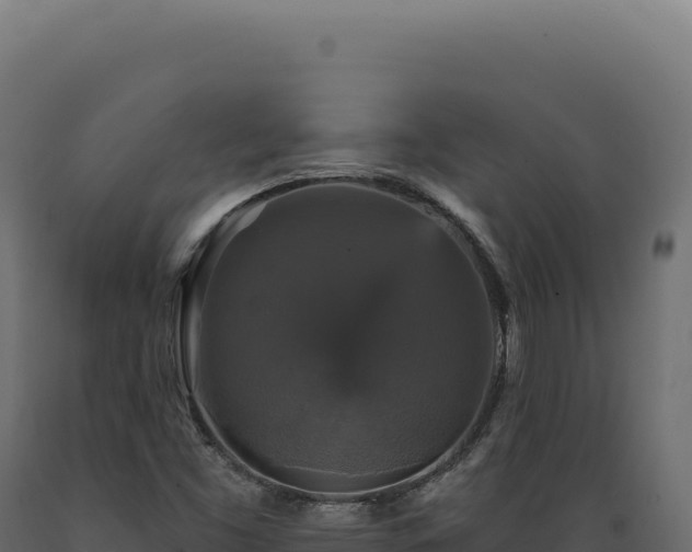 X0000089961453200707061130