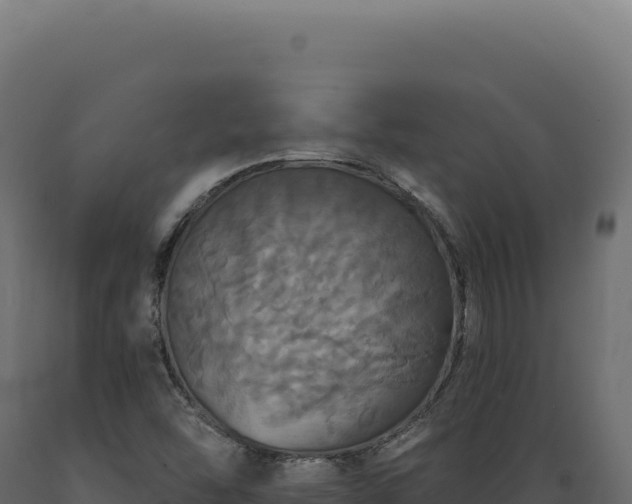 X0000089961454200707061130