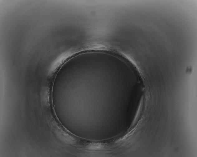 X0000089961455200707061130