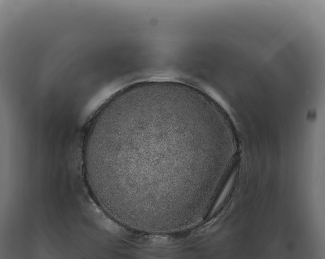 X0000089961456200707061130