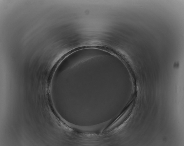 X0000089961457200707061130