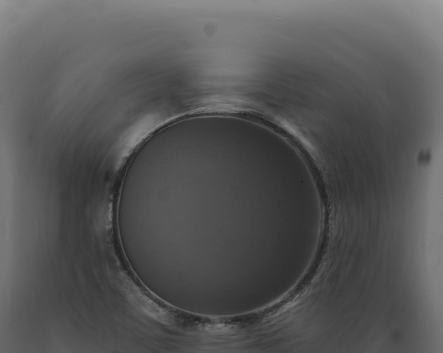 X0000089961459200707061130