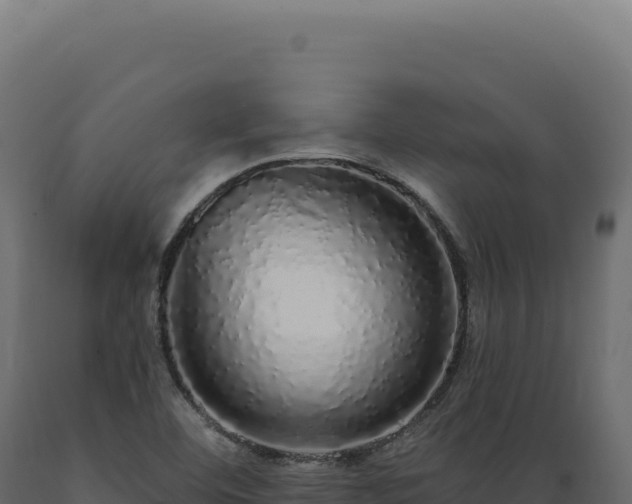 X0000089961460200707061130