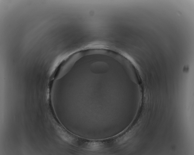 X0000089961461200707061130