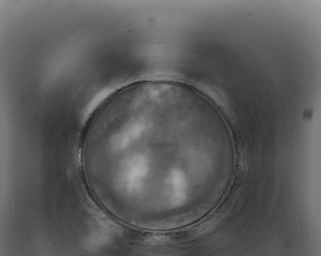 X0000089961462200707061130