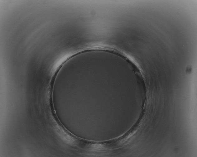 X0000089961463200707061130