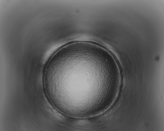 X0000089961464200707061130