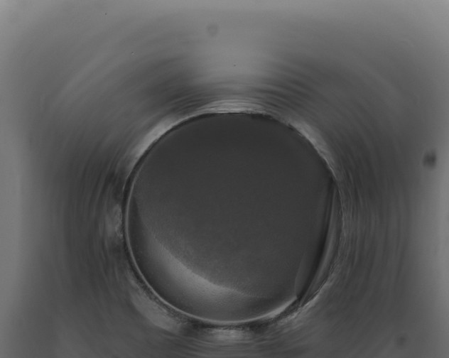 X0000089961465200707061130