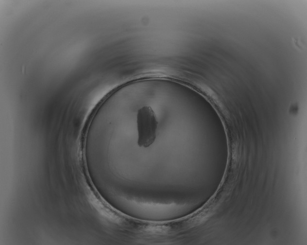 X0000089961466200707061130