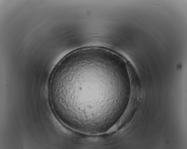 X0000089961468200707061130