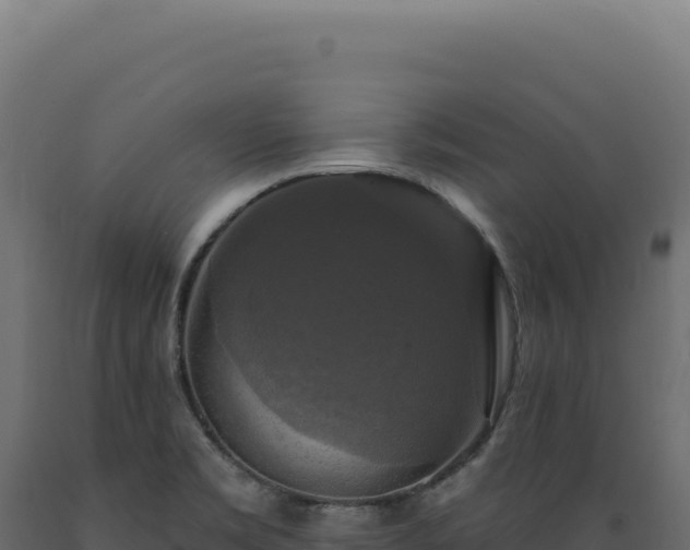 X0000089961469200707061130