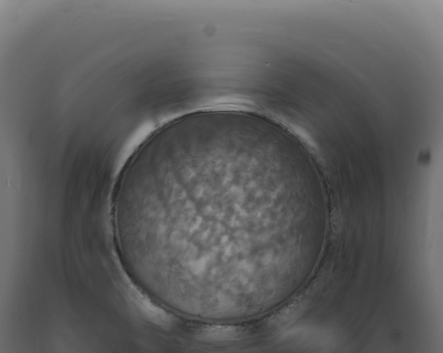 X0000089961470200707061130