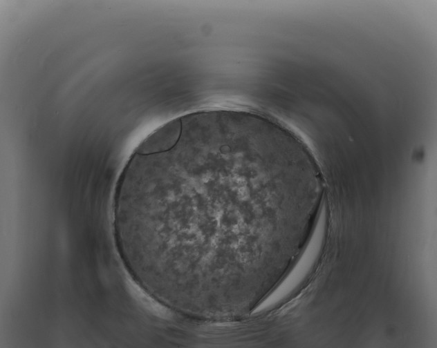 X0000089961471200707061130
