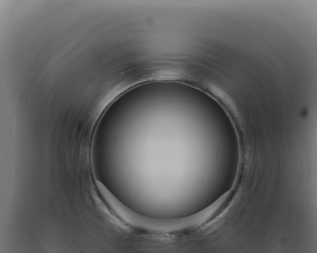 X0000089961473200707061130