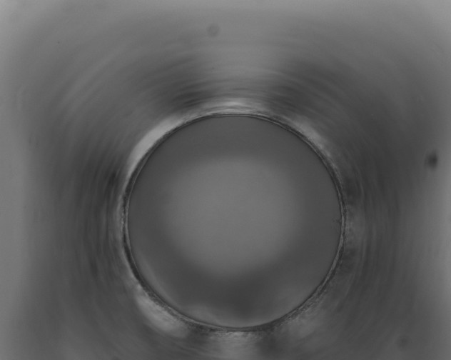 X0000089961474200707061130