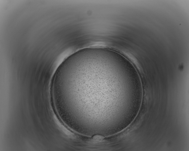 X0000089961475200707061130