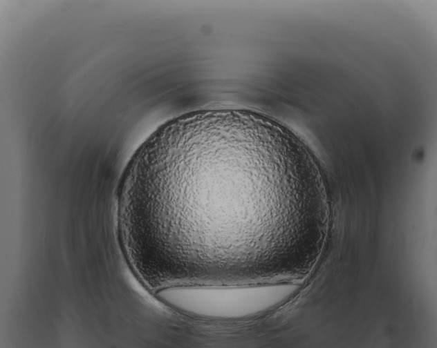 X0000089961476200707061130