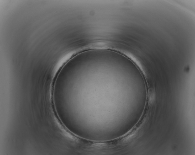 X0000089961477200707061130