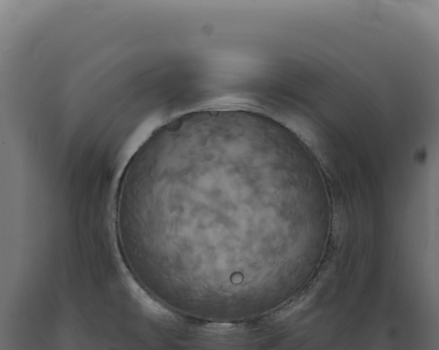 X0000089961478200707061130