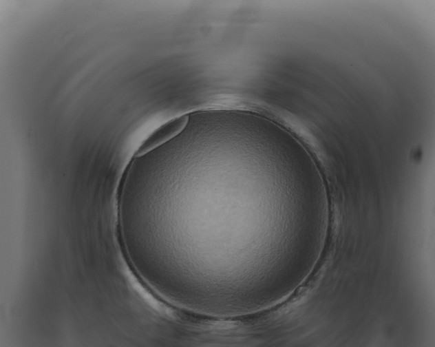 X0000089961479200707061130