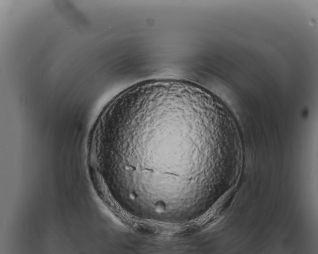 X0000089961480200707061130