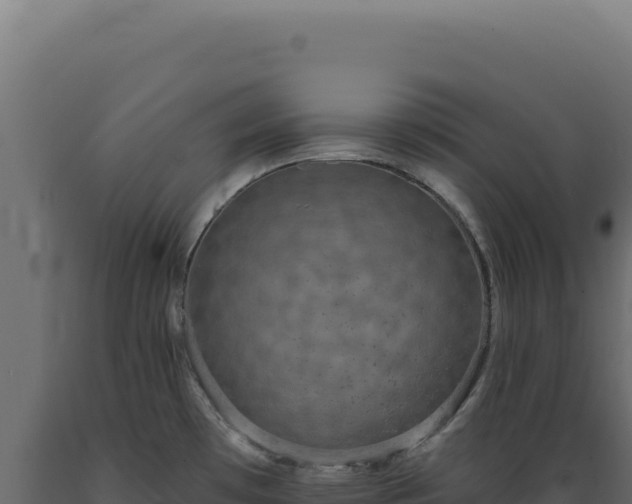 X0000089961481200707061130