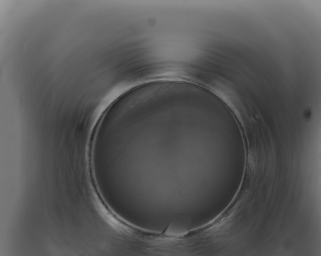 X0000089961482200707061130