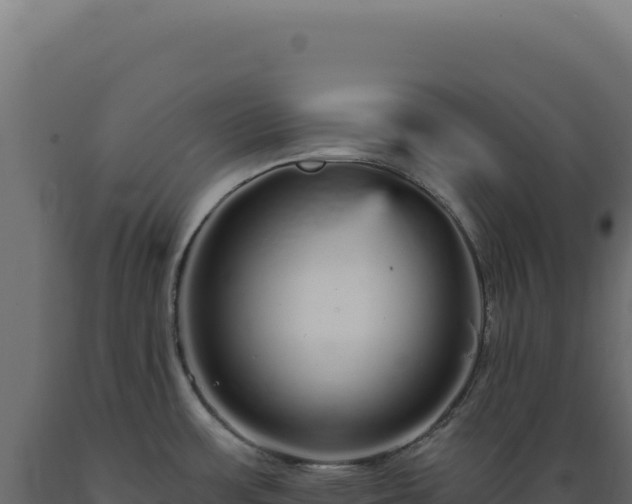 X0000089961483200707061130