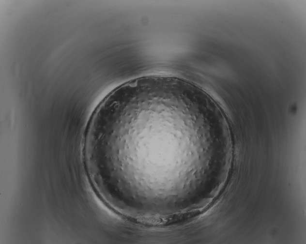 X0000089961484200707061130