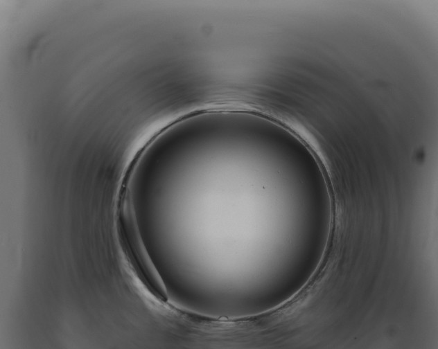 X0000089961485200707061130