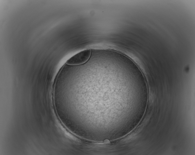 X0000089961486200707061130