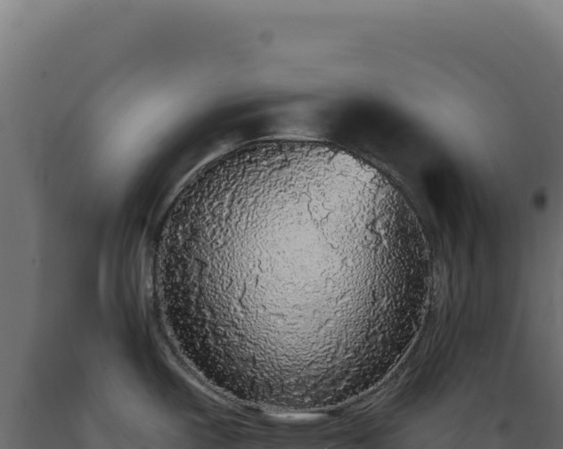 X0000089961487200707061130