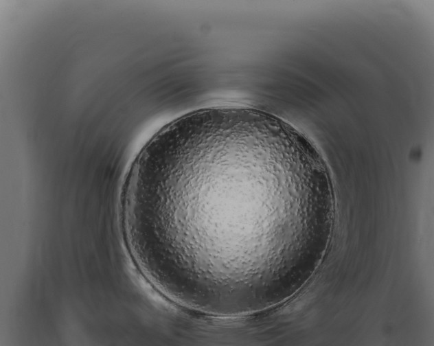 X0000089961488200707061130