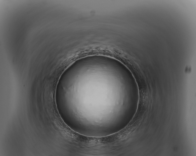 X0000089961489200707061129