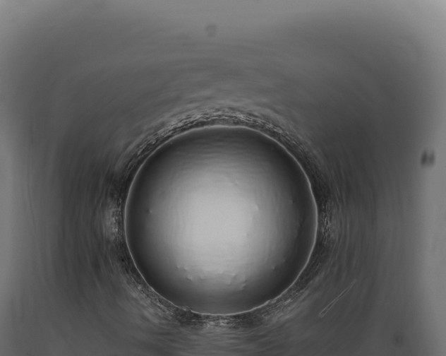 X0000089961490200707061129