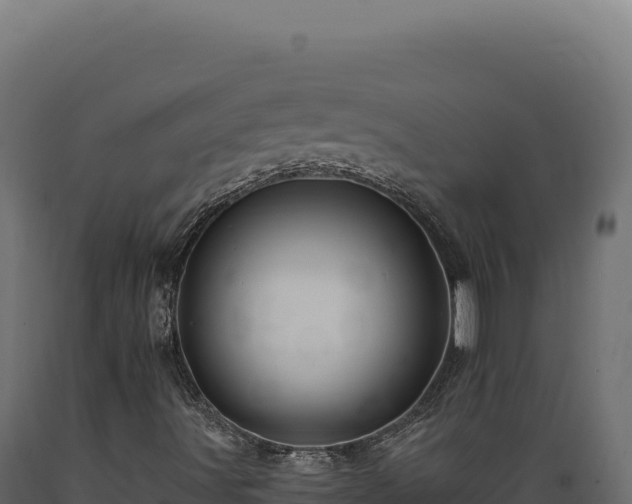 X0000089961491200707061129