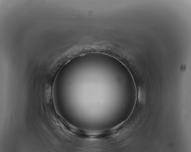 X0000089961492200707061129