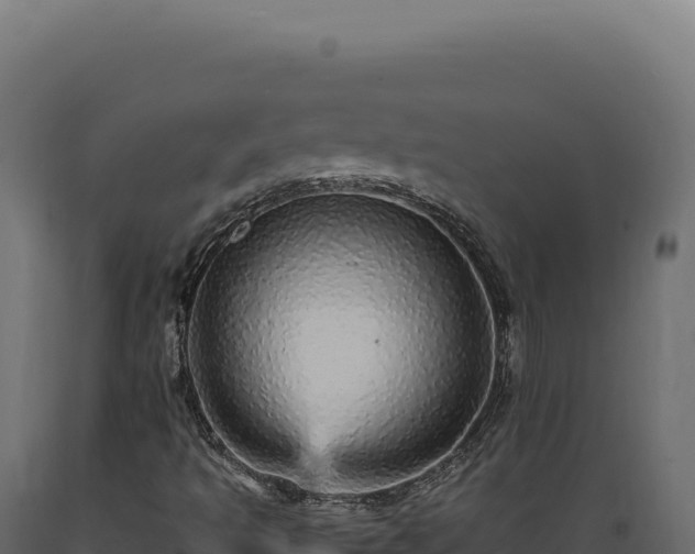 X0000089961493200707061130