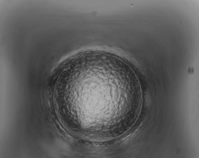 X0000089961494200707061130