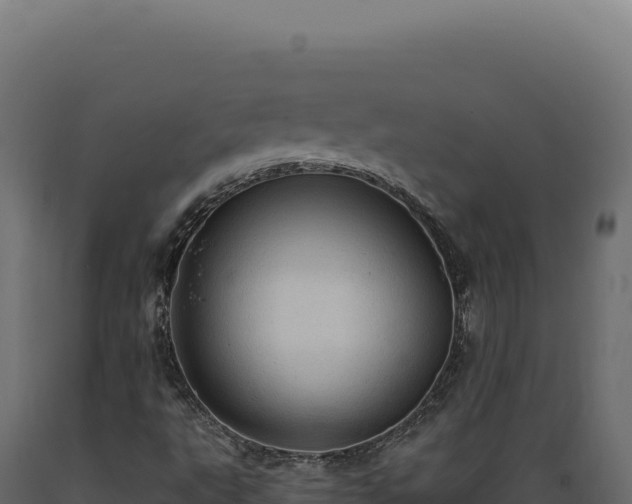 X0000089961495200707061130