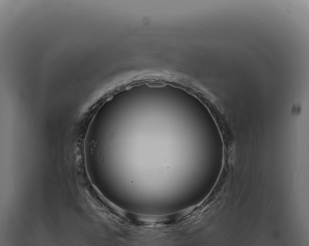 X0000089961496200707061130