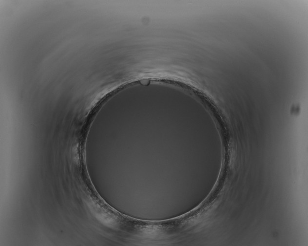 X0000089961497200707061130