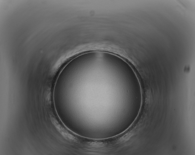 X0000089961499200707061130