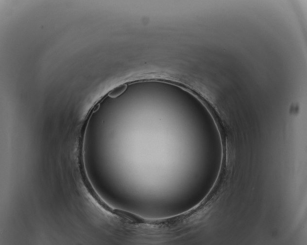 X0000089961500200707061130