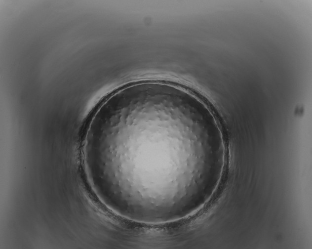 X0000089961501200707061130